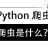 【Python爬虫】什么是网络爬虫？三分钟让你知道学习Python爬虫能做些什么