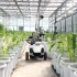 Windows开发自动导航机器人,大棚里的农业机器人