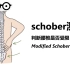 Schober测试,判断你的腰椎是否受限。