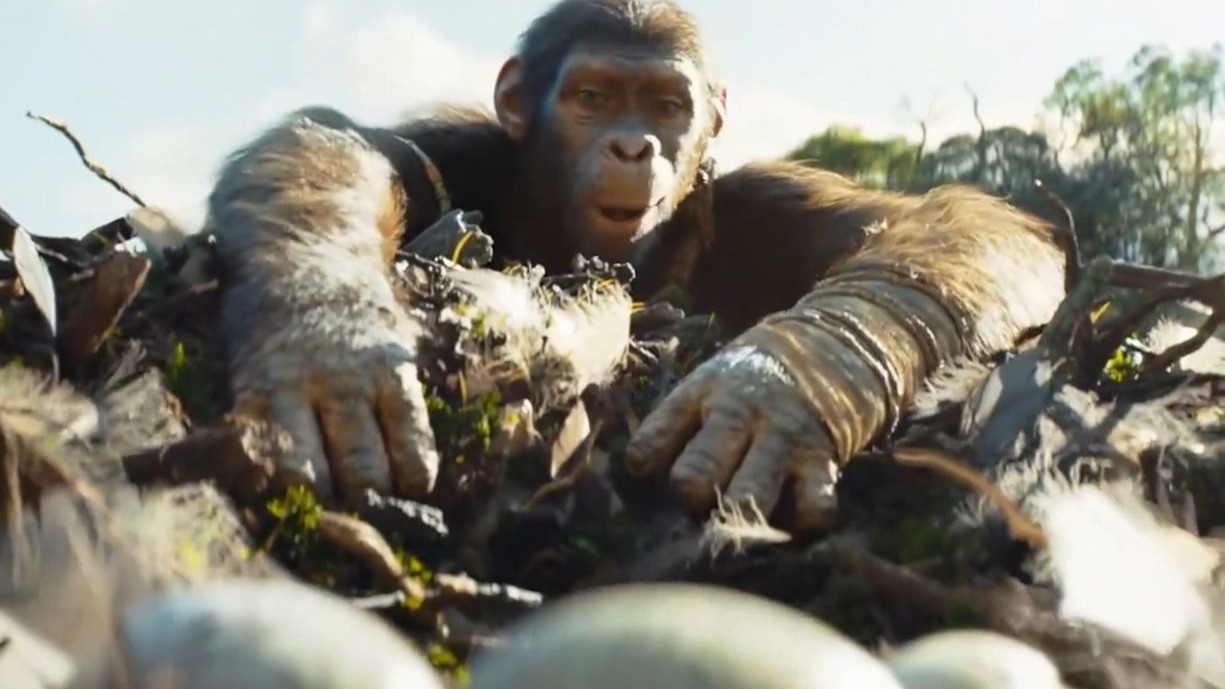 猩猩随手拔出一根钢筋，接着毫不犹豫的跳向对面悬崖，电影《猩球崛起》