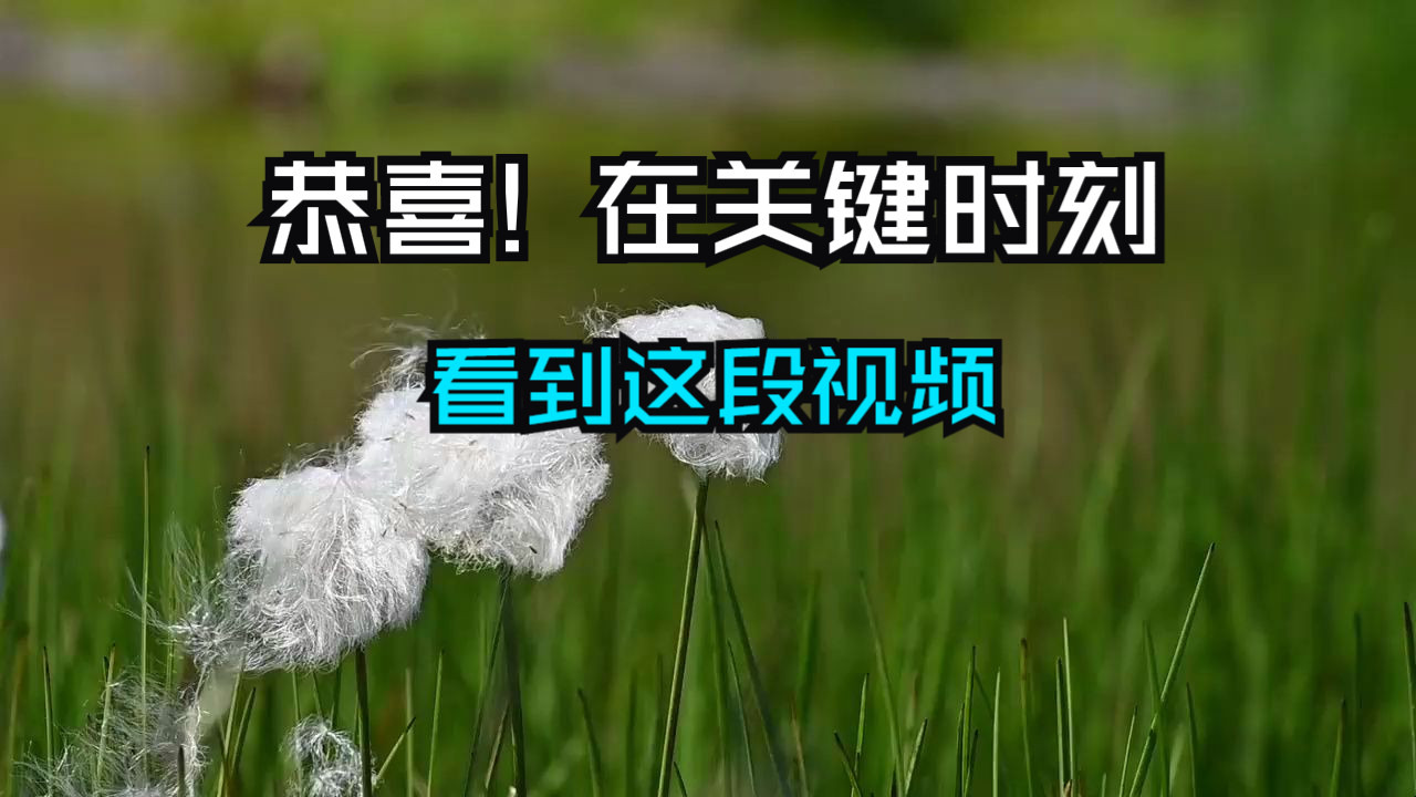 恭喜！在关键时刻看到这段视频！（不要错失机会）仅有1%的人能在关键时刻看到这段视频！