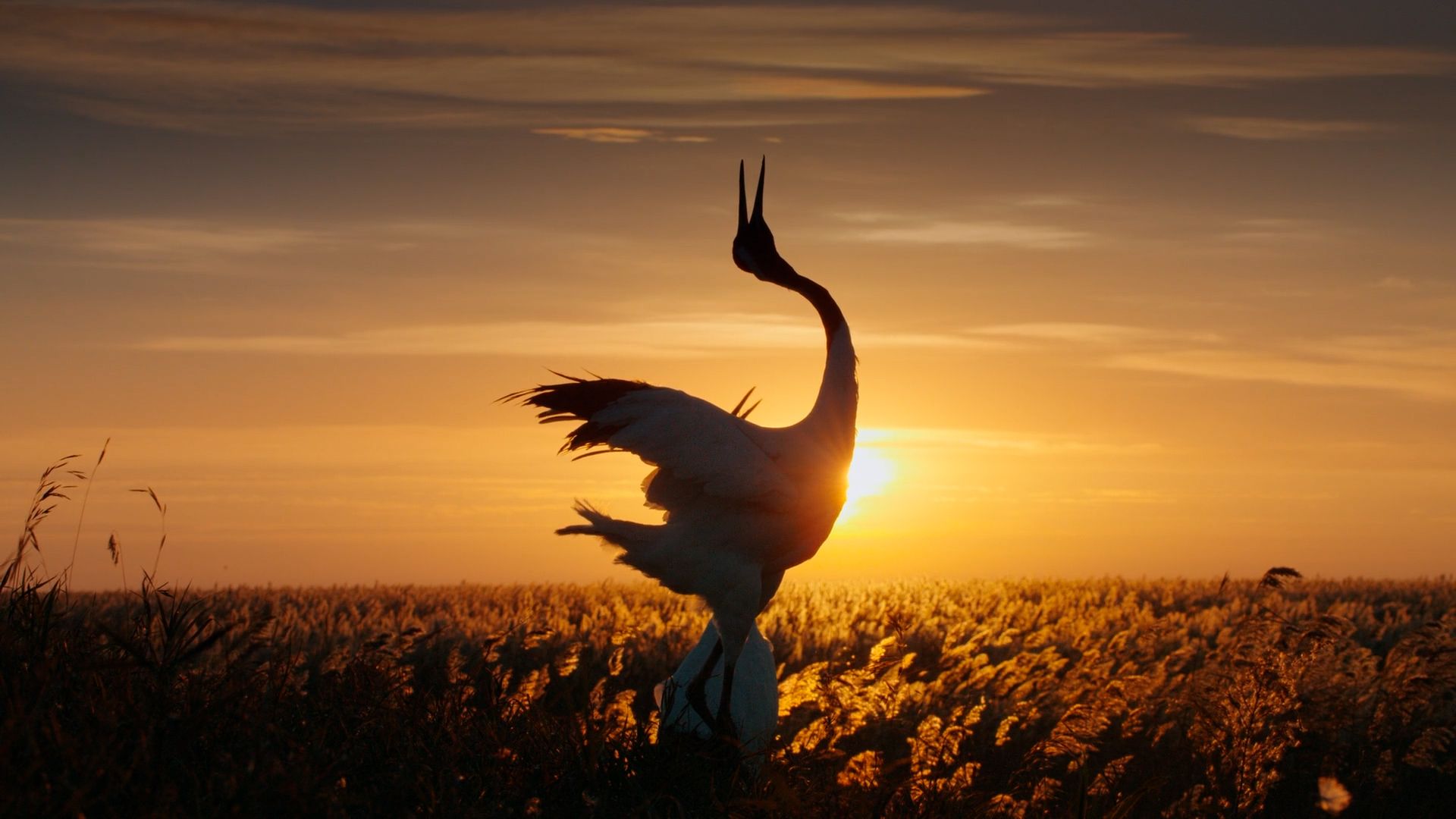 “靠近光，追随光，成为光，散发光”