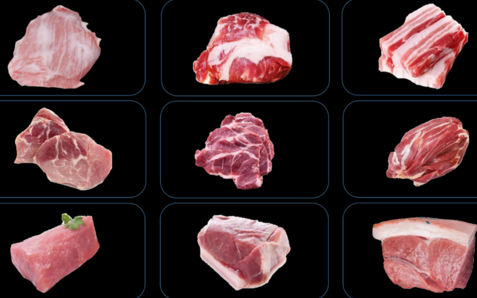 【从0开始学做饭·第0课】认识猪肉，各个部位
