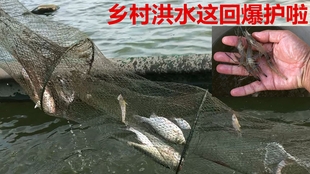 最有效的捕鳝鱼方法 5300ed35b145d559721a47fd495b2dc601ad4109.jpg@310w_174h_1c_100q.jpg