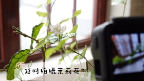 530cb8625891315901fac8449884831b10f1c465.jpg@280w_158h_1c_100q.jpg