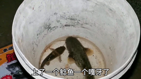531dcd3242a09334a45d08e60112a2b4beb552f7.jpg@280w_158h_1c_100q.jpg