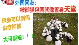 国外搞笑视频大全网站 5328ceae06c073c32e926bf0efcb1d509bedc678.jpg@280w_158h_1c_100q.jpg