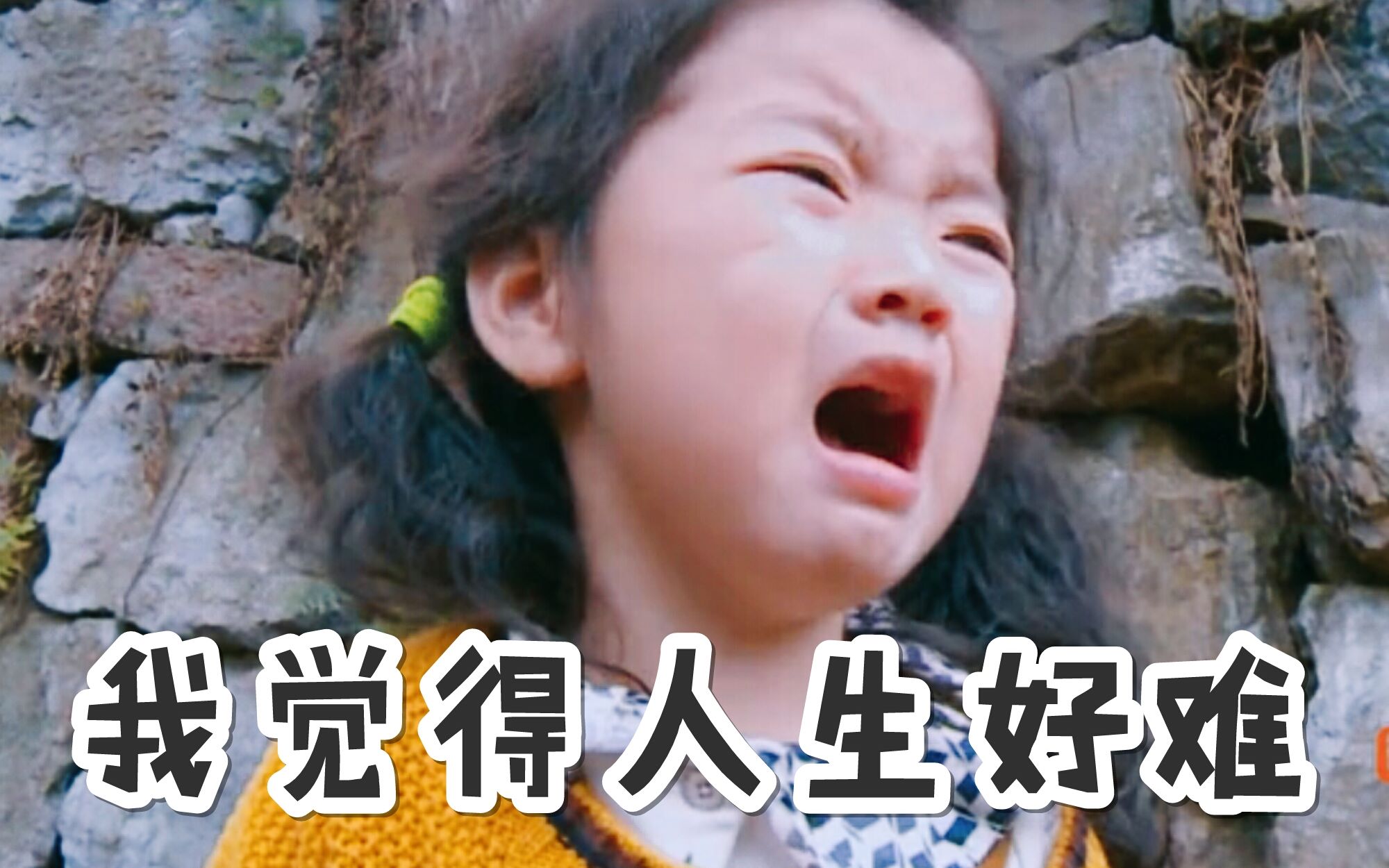 表情-搜索结果-哔哩哔哩弹幕人生网-(-jackson放开我视频包北鼻图片