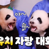 【中字】［PandaStick-宝宝］聊着天的双胞胎熊猫宝宝«宝宝»EP.12睿宝&辉宝