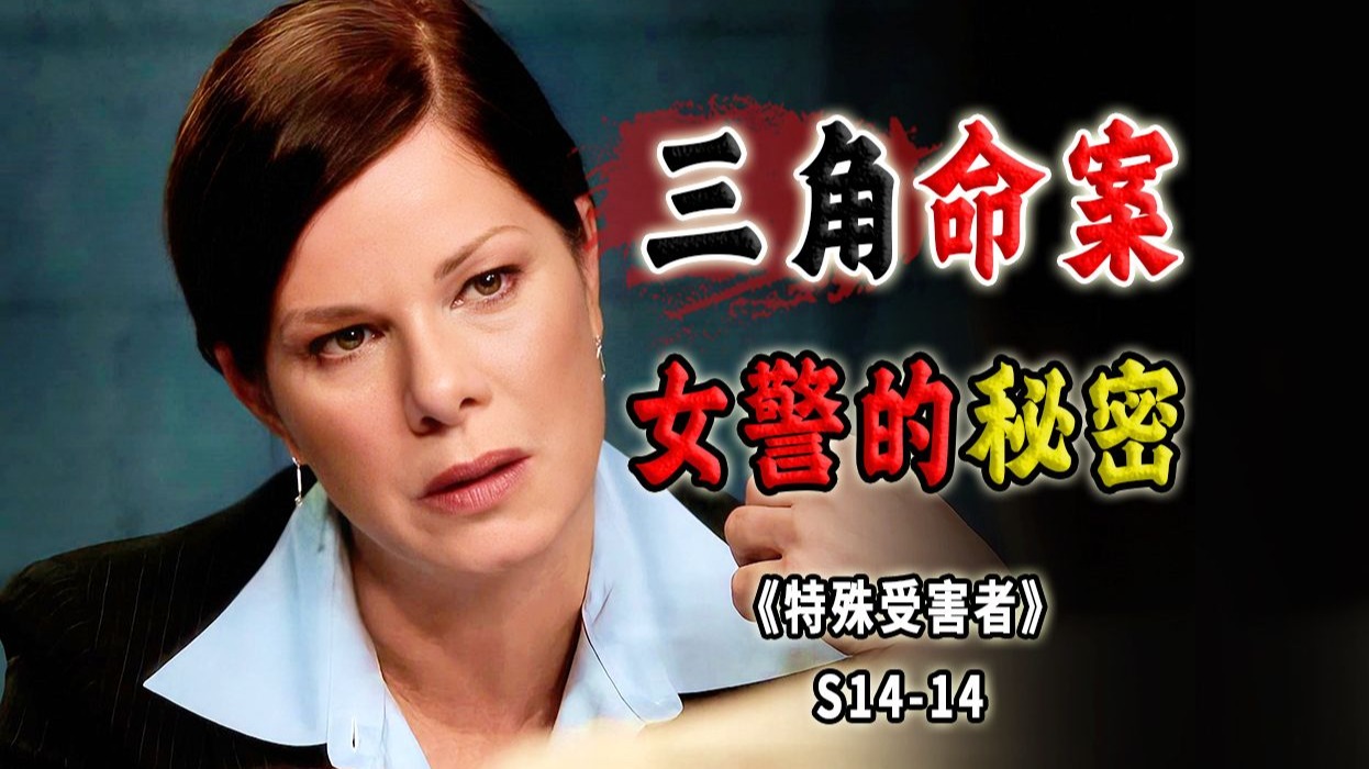 逆天的三角命案！隐藏了25年的秘密，只叹猪油蒙了心《SVU》S14-14