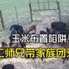 猎人用玉米布置陷阱，野猪成群结队赶来，最终没抵挡美食的诱惑,三农,农村户外