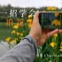 「手机教程」一招学会拍摄花朵，小米11ultra手持拍摄。