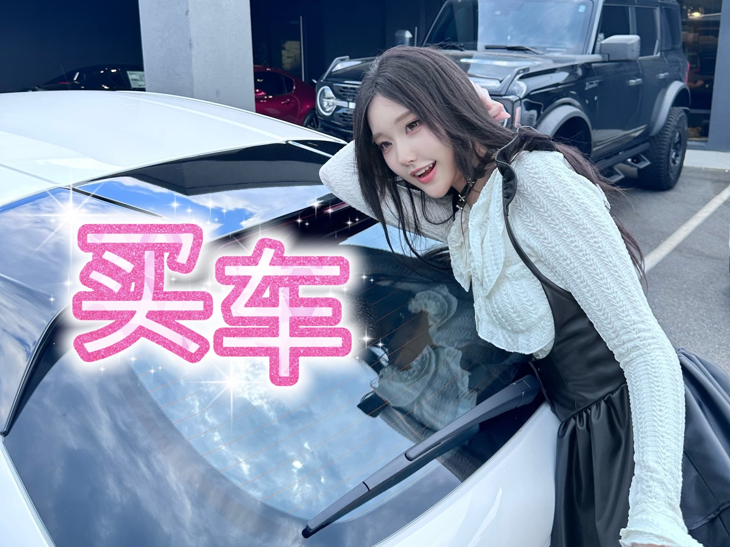 塔塔在美国的买车日记！来美十年终于惹！