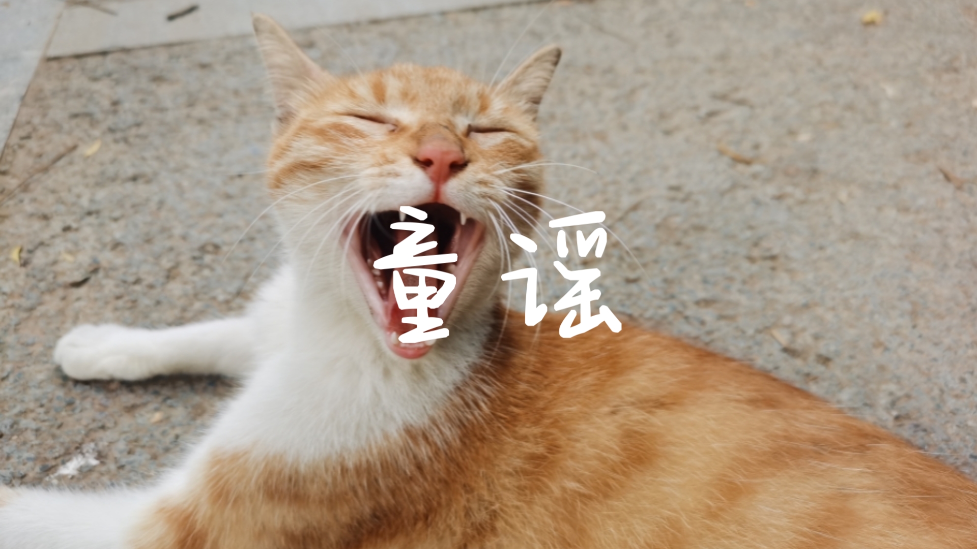 「洛天依原创」疑似学习学疯了出现的幻觉