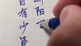 阳光下的秘密信号——今日阳光明媚竟是欢迎围猎暗号