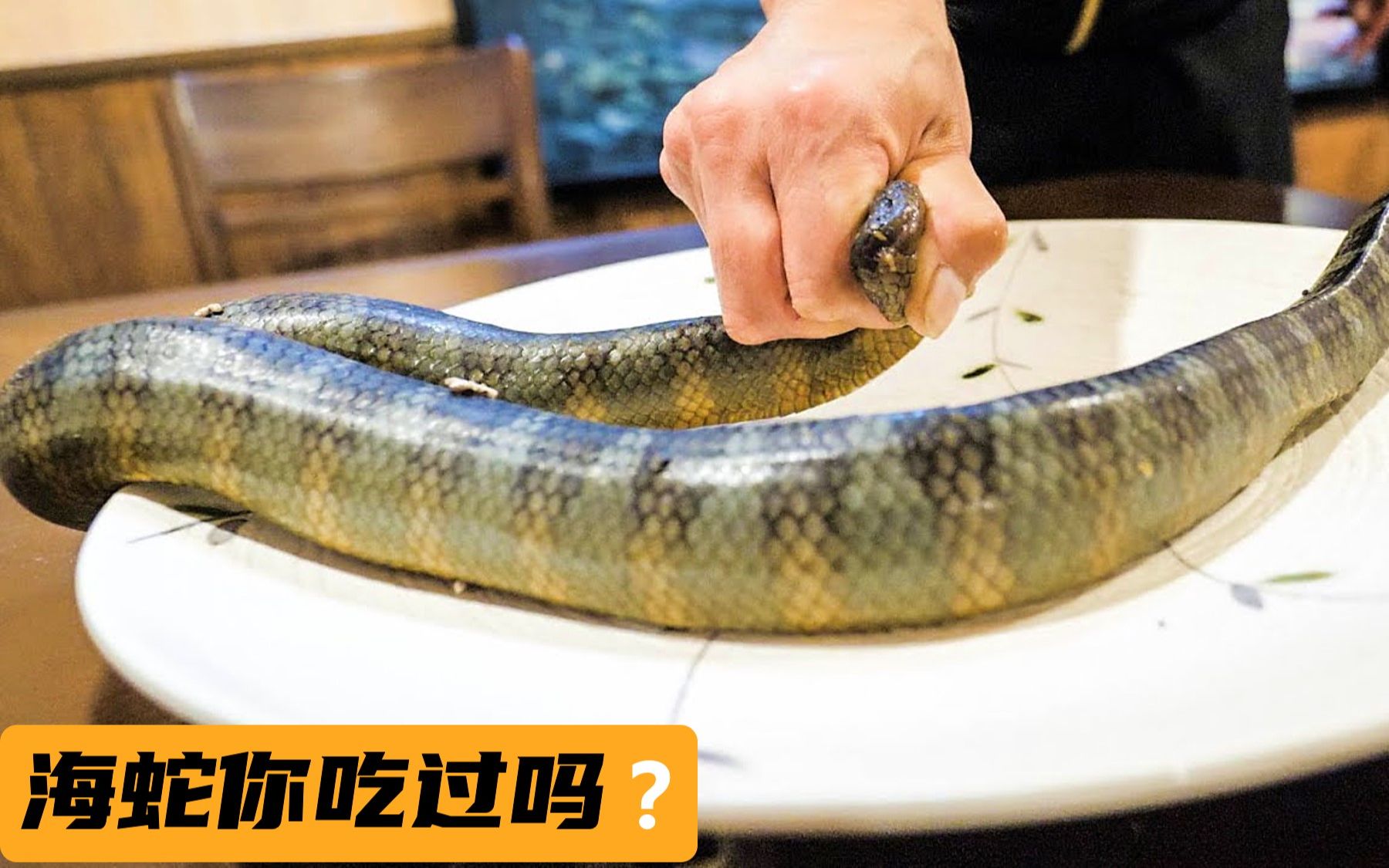 看日本如何吃剧毒海蛇，也做刺身？