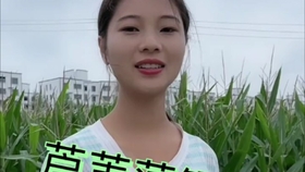 嫩玉米钓草鱼视频 53a9e401fd2481f4e8766a8b9585a98a6767028c.jpg@280w_158h_1c_100q.jpg