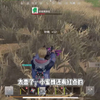 1点出服直接进，运气跟实力真的绝了_文明重启