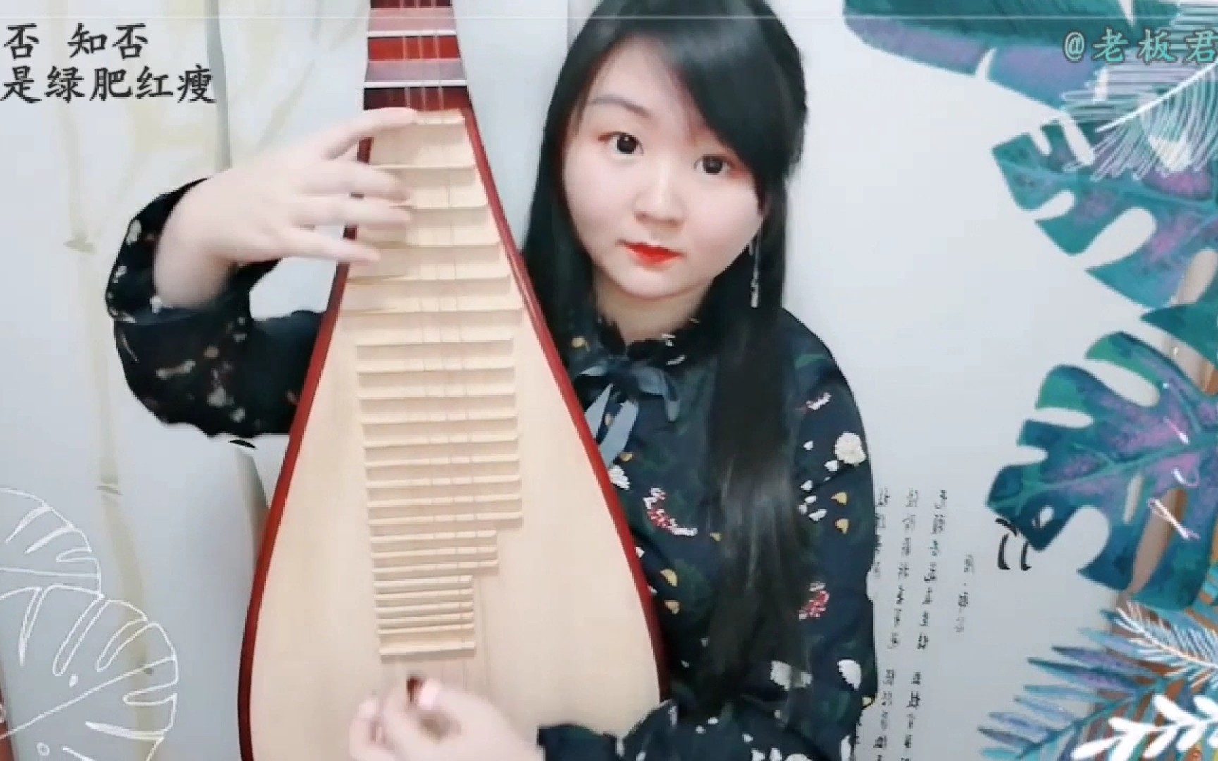 琵琶知否知否应是绿肥红瘦