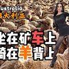 澳大利亚到底是怎样一个国家？2分钟视频带您了解它