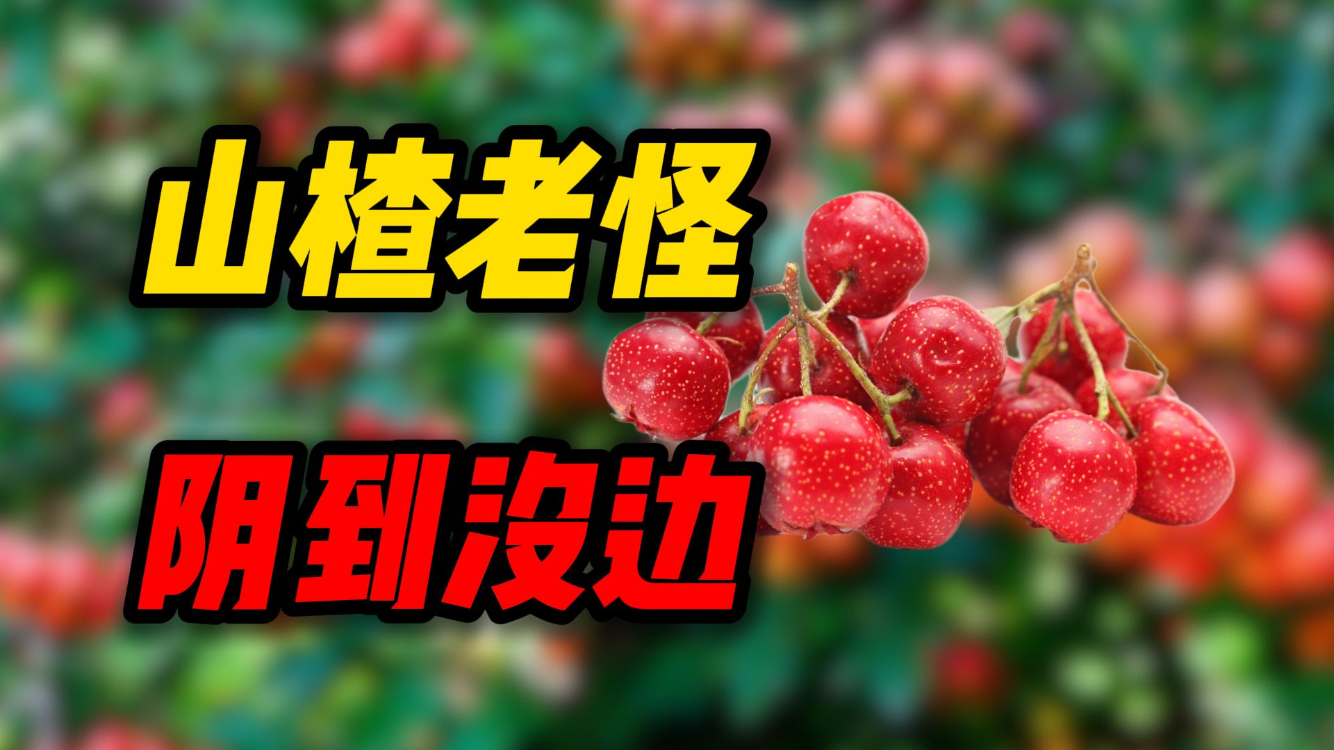 山楂老怪，阴到没边？