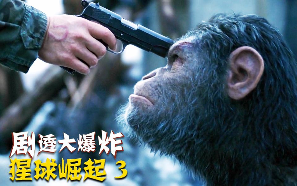 点赞 【原创】本期吐槽的是人兽大战系列动作片的最后一部《猩球崛起3