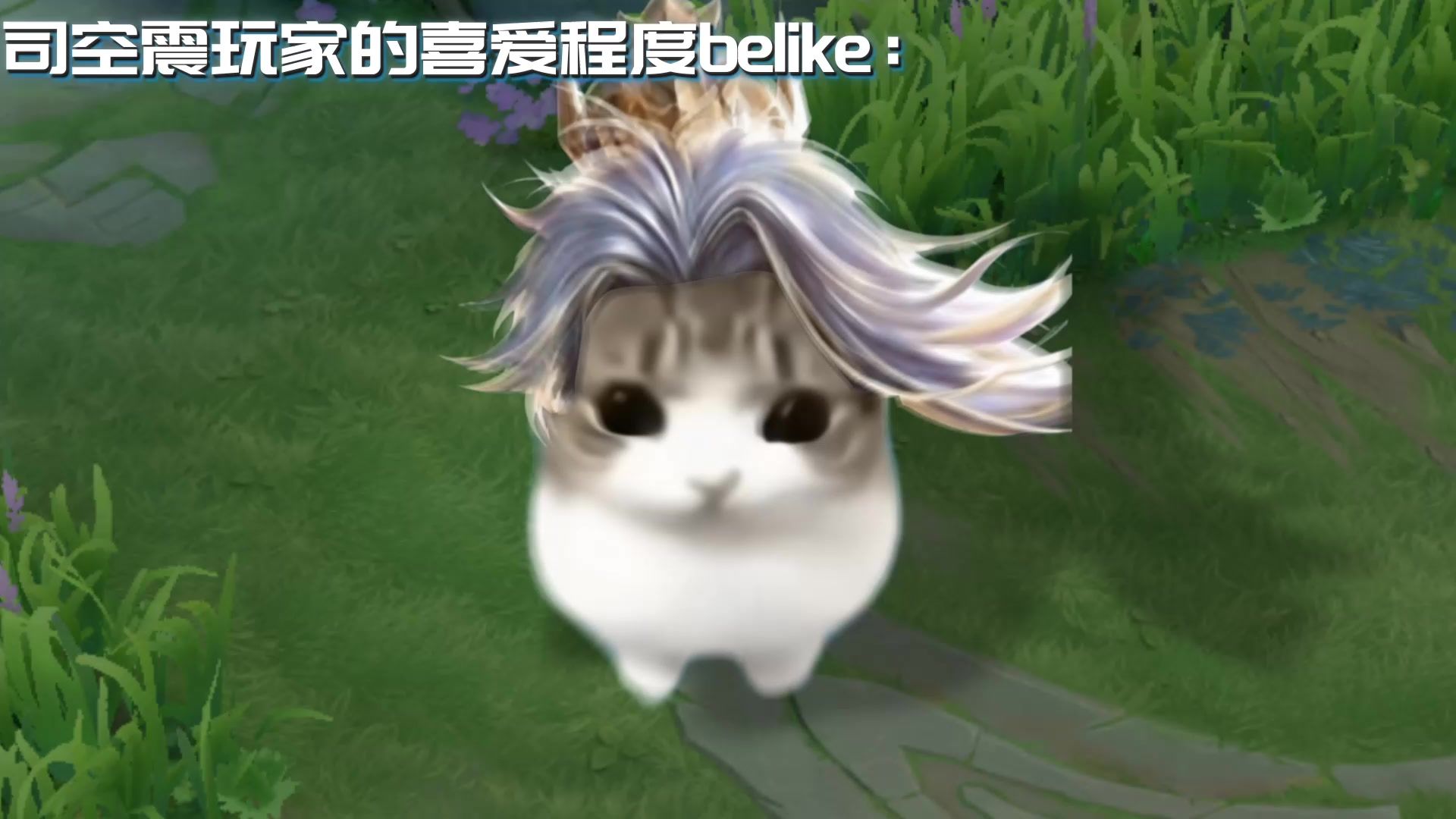司空震玩家的喜爱程度