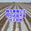 棉花春播记住四句话苗齐苗壮不犯愁