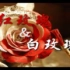 【红玫瑰与白玫瑰】戴上耳机 左耳红玫瑰 右耳白玫瑰