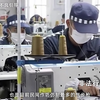 它是东方龙国的启蒙PCP