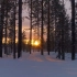 空镜头视频素材 冬日冬季日出日落森林雪素材分享