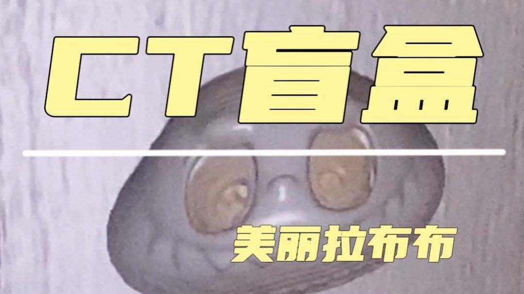 跟着大哥真是学到了很多