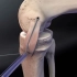 膝关节内侧副韧带修复，看完这个视频感觉膝关节更脆弱了！