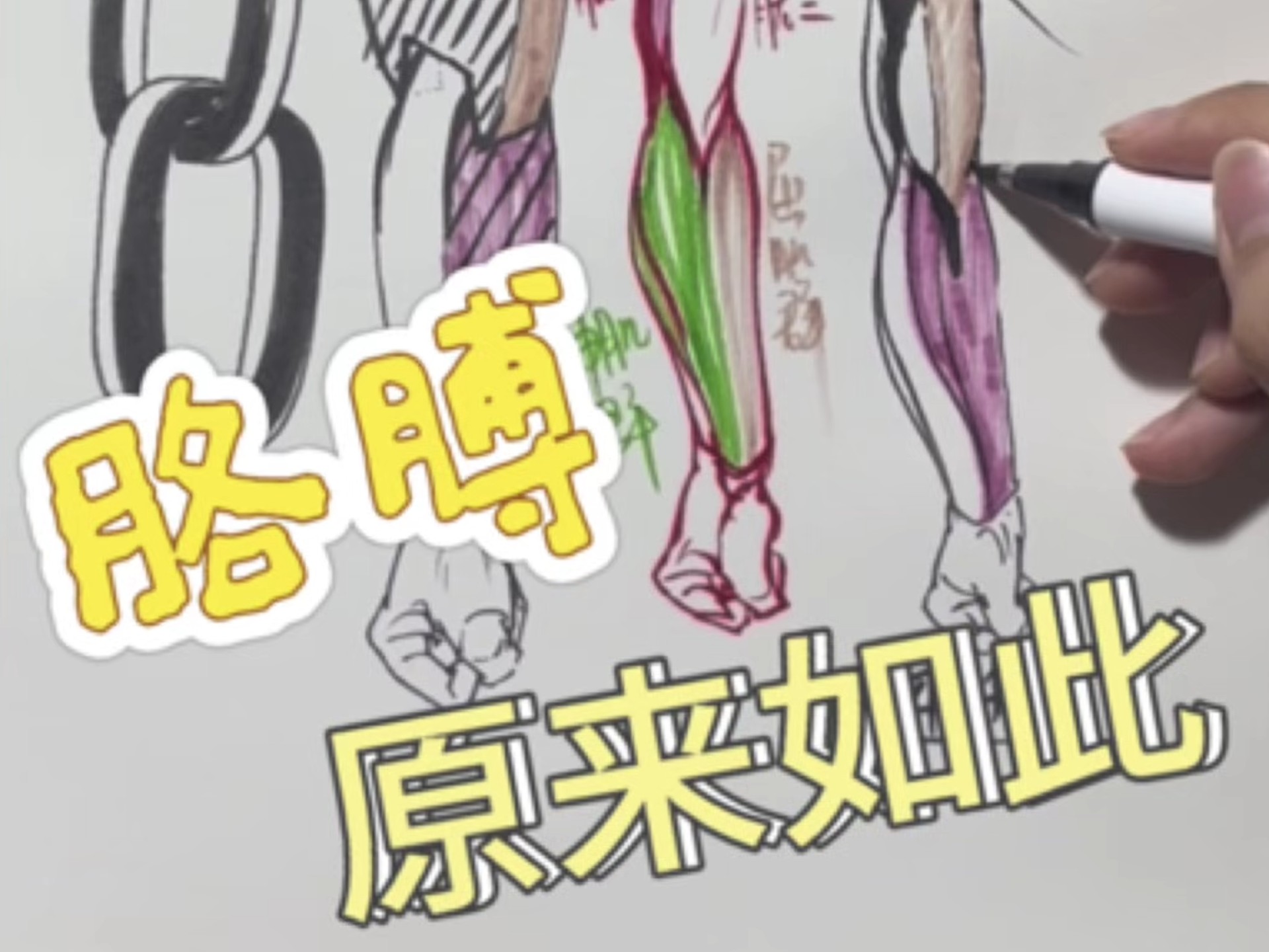 让你秒懂的胳膊教程来啦！