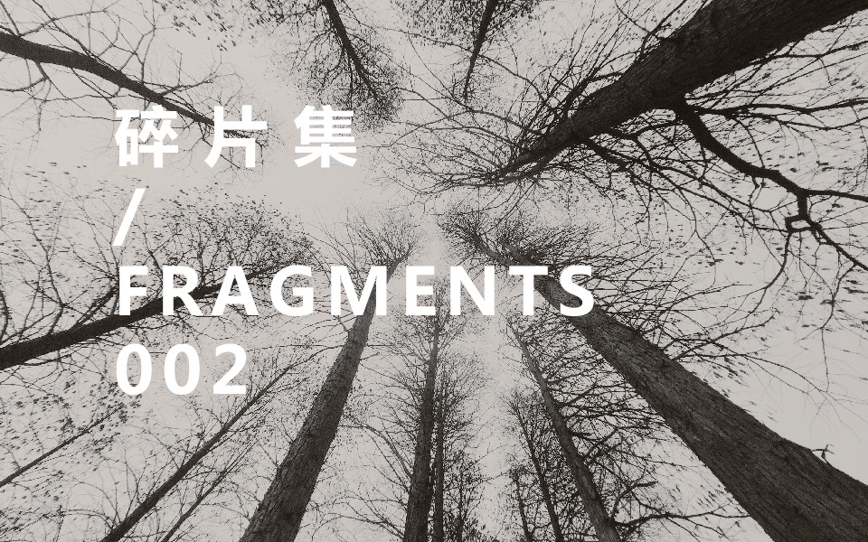 【碎片集FRAGMENTS】002  东湖风景区 & 湖北美术馆哔哩哔哩 (゜゜)つロ 干杯~bilibili