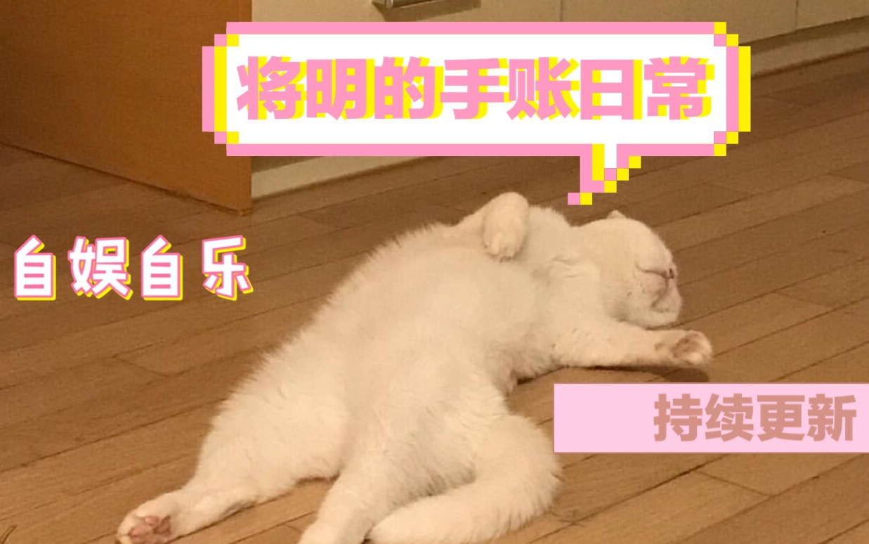 【将明】手账日常哔哩哔哩bilibili