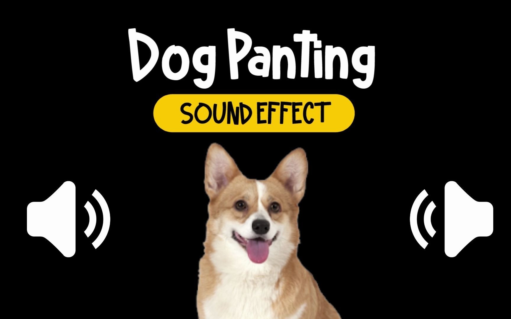 狗 喘息 呼吸 动物 音效 (HQ)