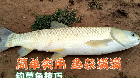 小鱼怎么钓最简单的方法 54b35a73a0fbd4cd78e59b80c693f679e2d8b7d4.jpg@480w_270h_1c