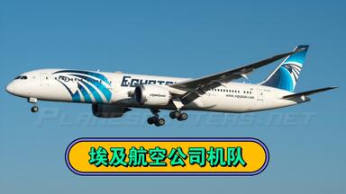 <em class="keyword">埃及航空</em>机队情况
