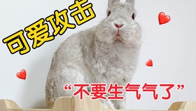 54cbdef635d6128f7bcb9a38f9192db58173735c.jpg@280w_158h_1c_100q.jpg
