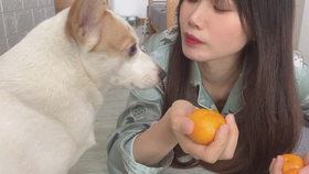 54dae8cc90c2923860008a69d2b3aec8a62f69f2.jpg@280w_158h_1c_100q.jpg