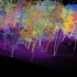 GeoSLAM 多平台移动三维激光扫描仪林业调查应用。