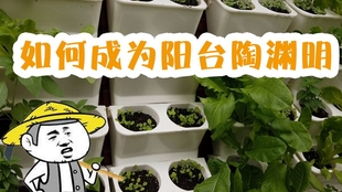 54fe3f01ca94e17dee511a48f852ada055caaf68.jpg@310w_174h_1c_100q.jpg