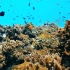 世界上最清澈的海：透明度可达70米，却被称为“海洋的坟墓”
