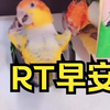 RT早安