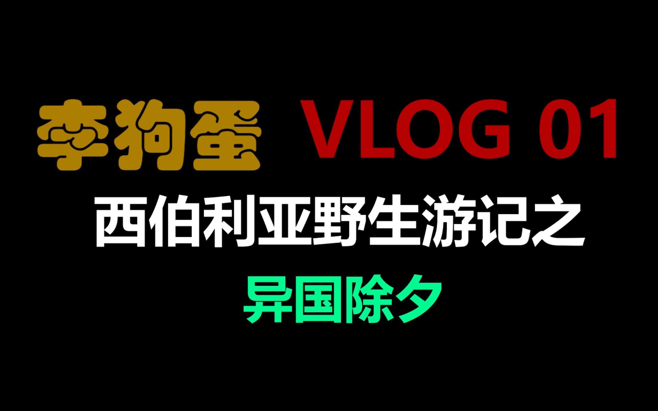 李狗蛋vlog01 异国除夕