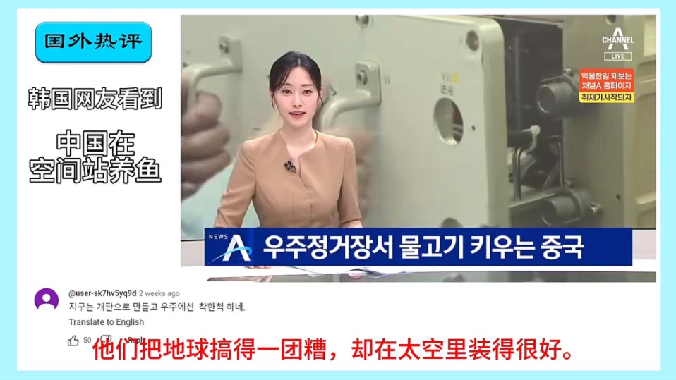 外网看韩国媒体报道中国在空间站养鱼，韩国网民:这是窃取韩国技术而制成的！