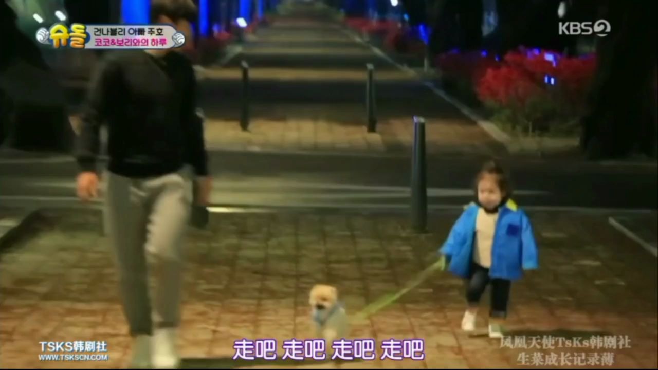朴建厚狗遛猪