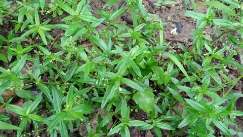 55477588c5a94b1e0945dced1a86c7f145165e17.jpg@480w_270h_1c