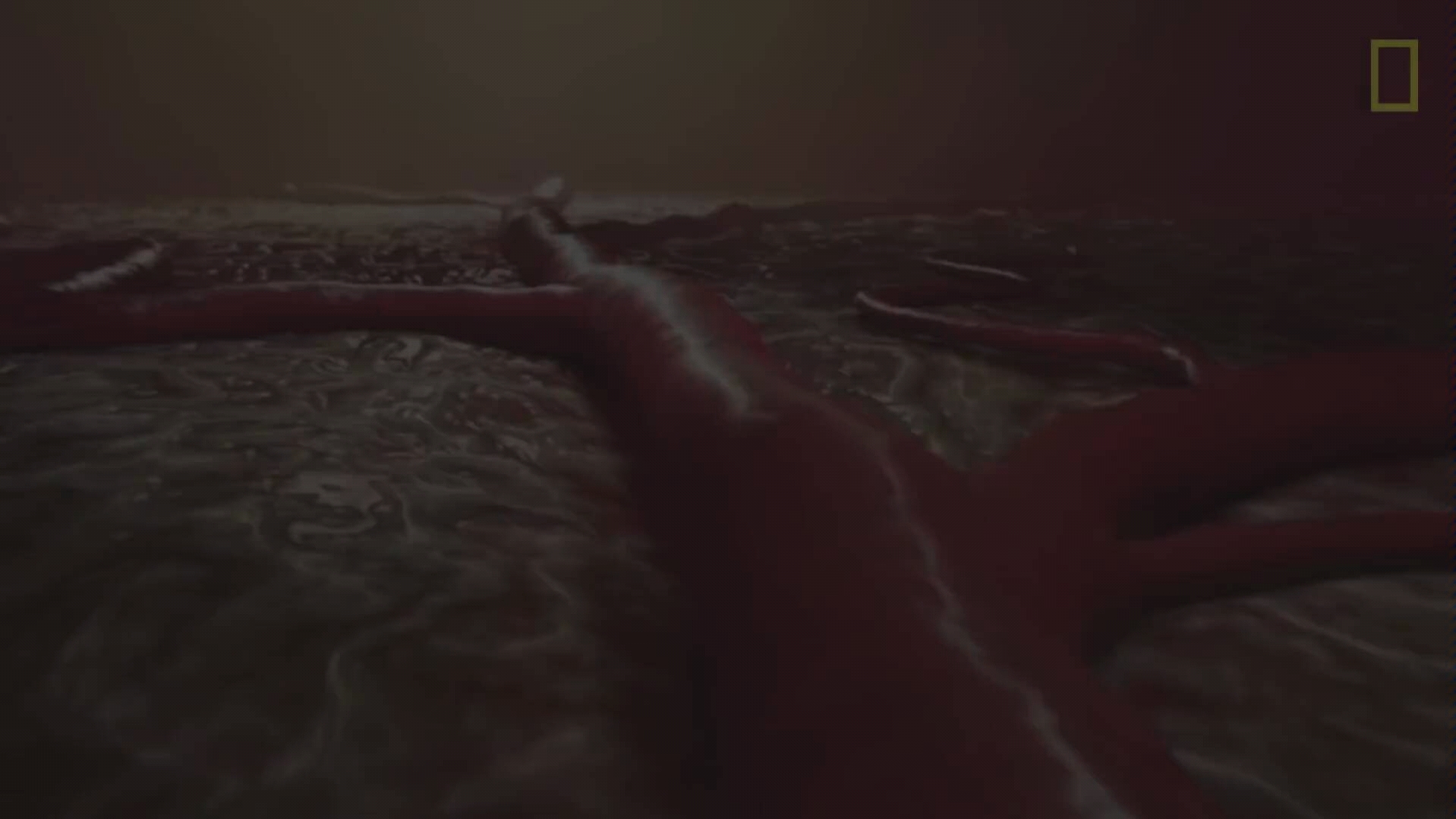 伊波拉病毒电影完整片